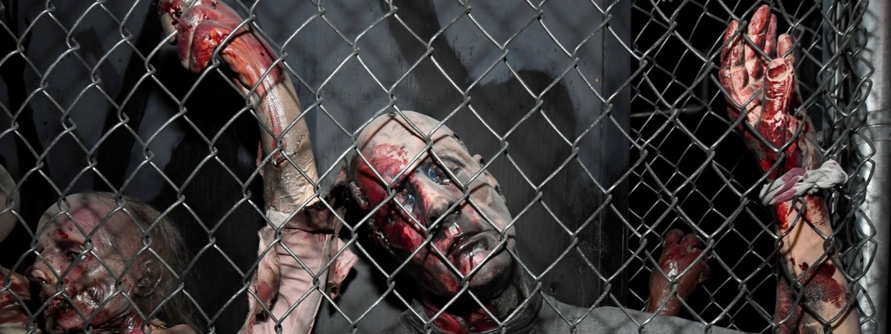 A zombifarm, ahol élünk
